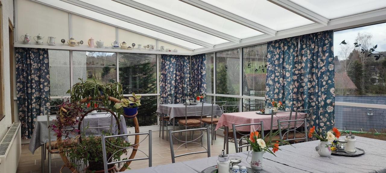 Landpension Haupt Sebnitz Exteriér fotografie